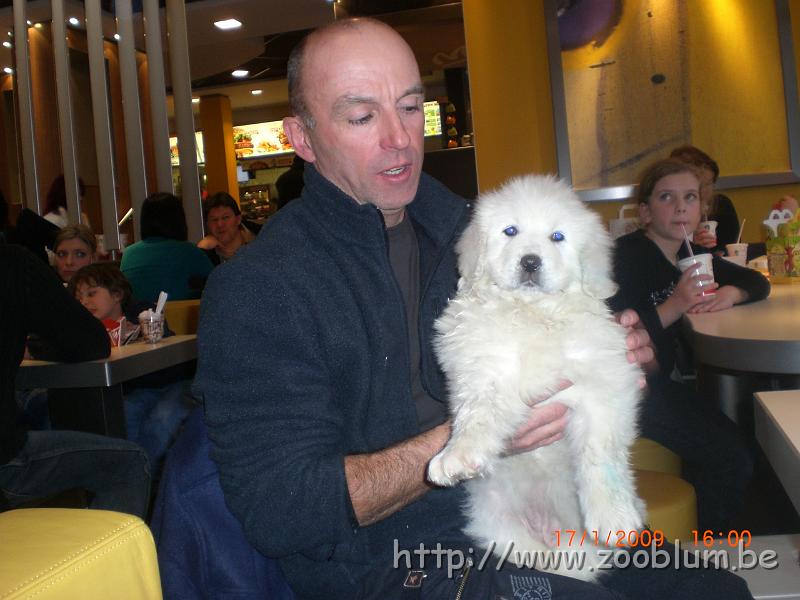 CIMG4693.JPG - Bernard et le chiot podhâle (leur site http://auprintempsdesolivets.com/ )