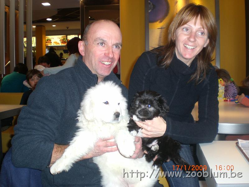 CIMG4695.JPG - Bernard, le chiot podhale et Christelle et Divine'Idylle