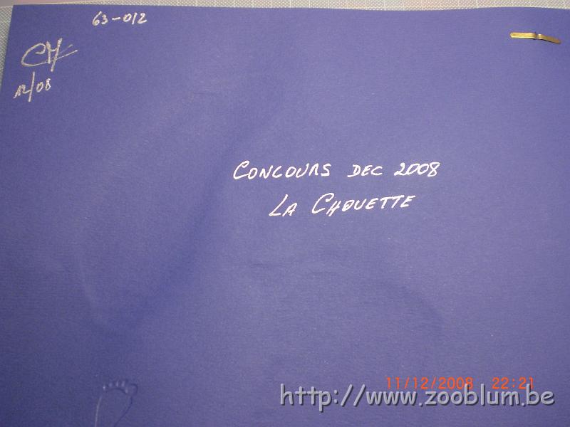 CIMG3753.JPG - 63-012 dimanche je participe à un concours au magasin de bricolage  "la chouette" où j'achète mon matériel Les consignes sont les suivantes: une photo de "pied" et une feuille 30/30.... le reste c'est libre....