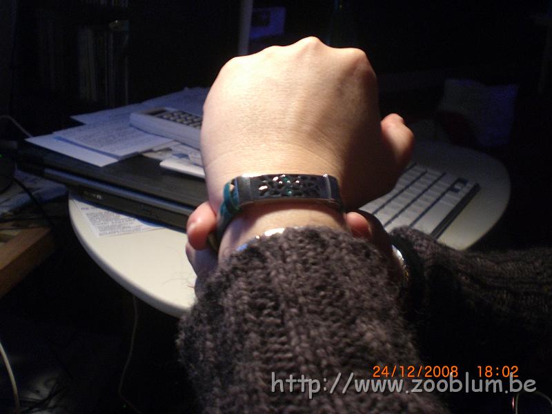 CIMG4215.JPG - mon bracelet - tête de tigre