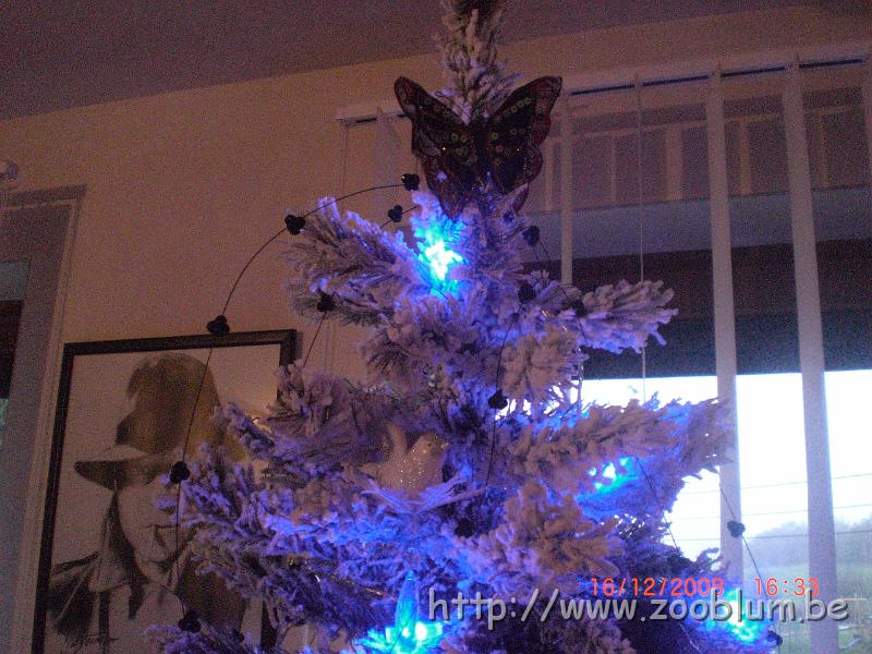 CIMG4024.JPG - Le sapin dans le salon