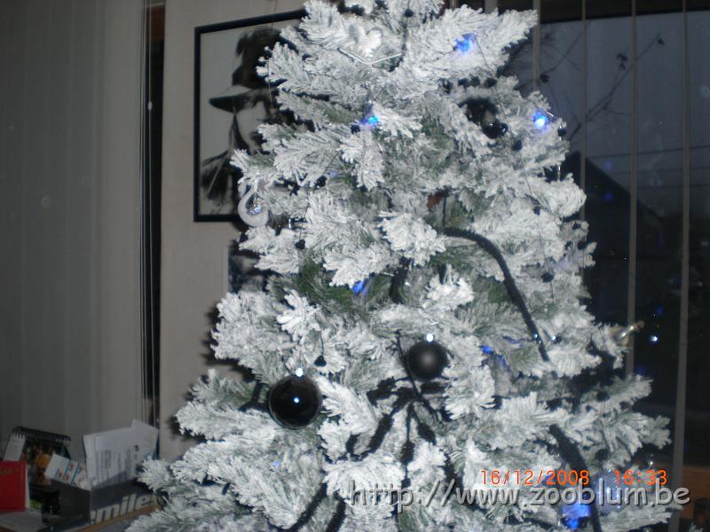 CIMG4026.JPG - Le sapin dans le salon