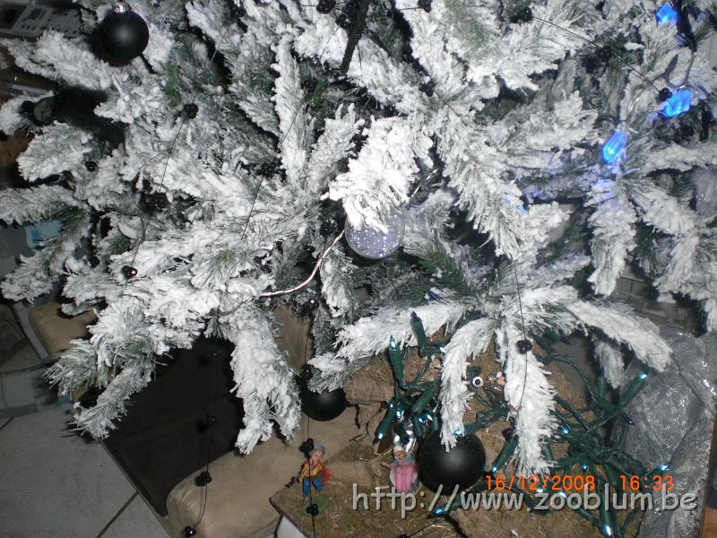 CIMG4027.JPG - Le sapin dans le salon