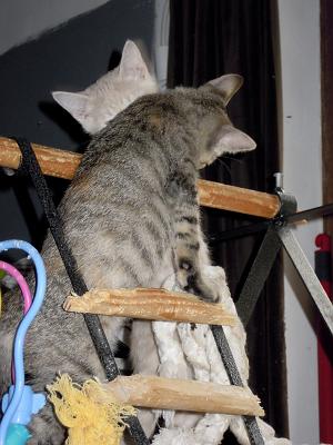 DSCN2247.JPG
