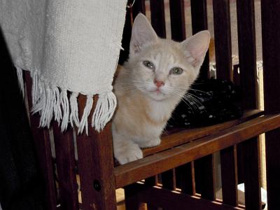 DSCN2251.JPG