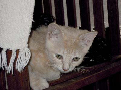 DSCN2252.JPG