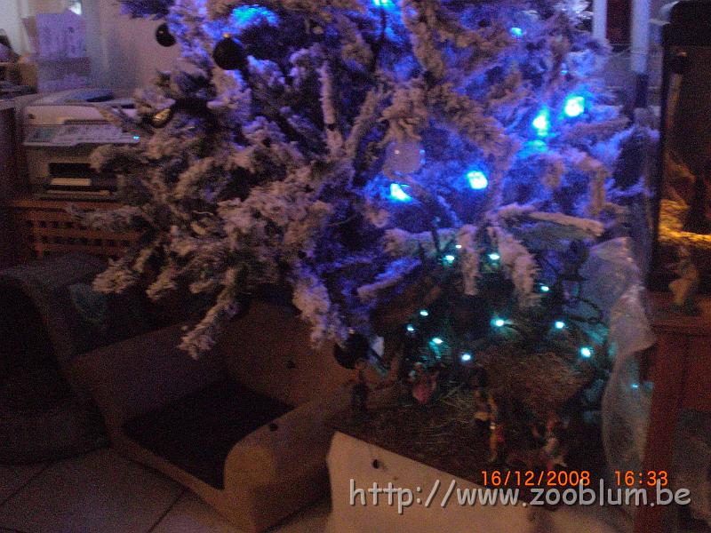 CIMG4022.JPG - Le sapin dans le salon