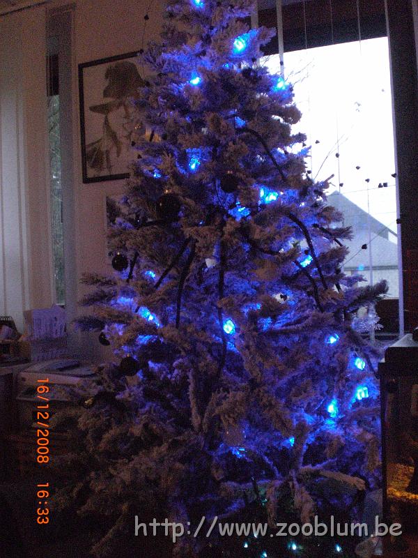 CIMG4023.JPG - Le sapin dans le salon